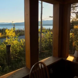 View from the dining area