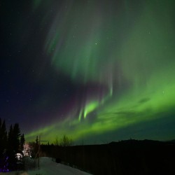 Enjoy the Yukon Northern Lights from the comfort of your Cabin