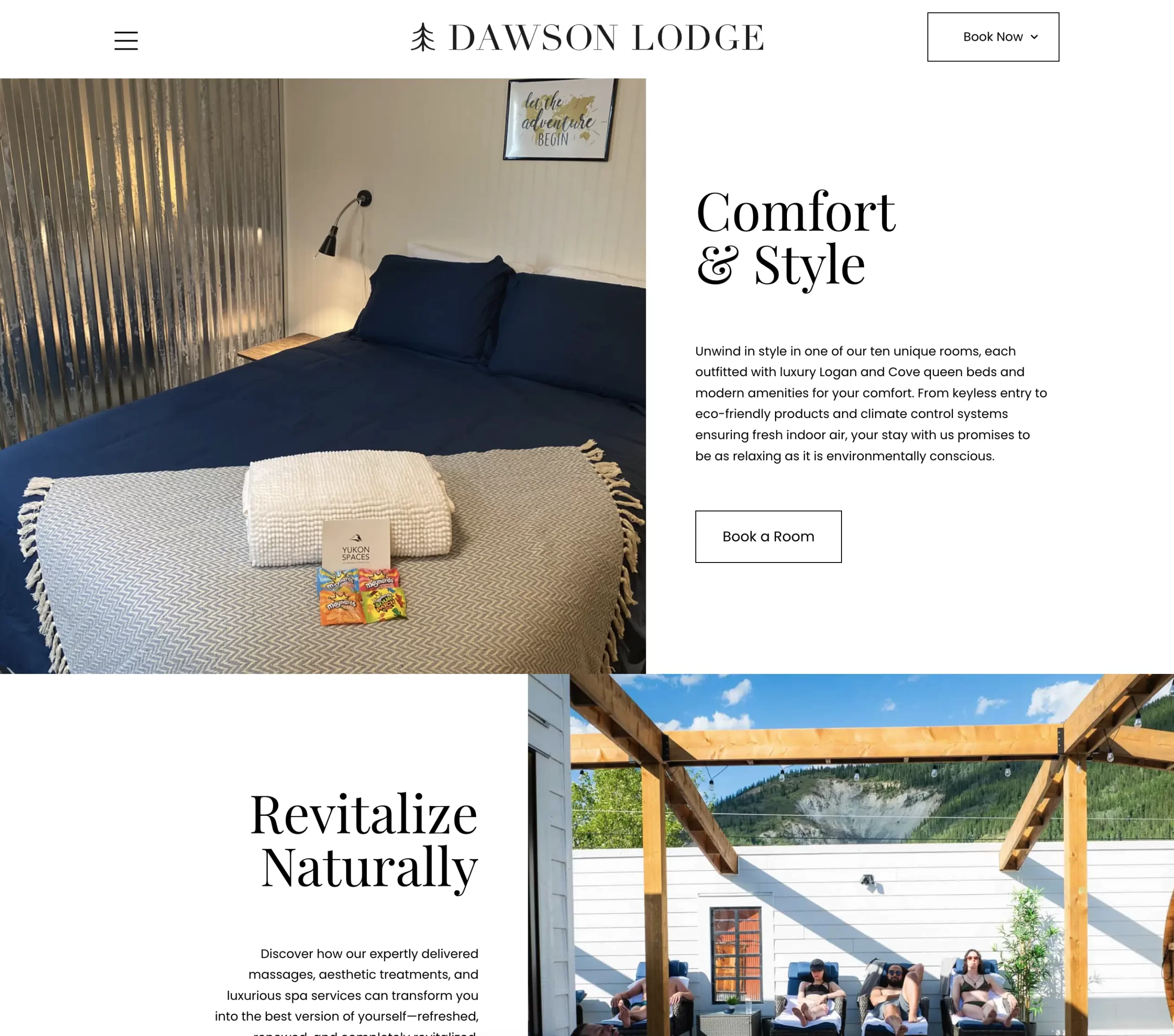 Dawson Lodge web site design example