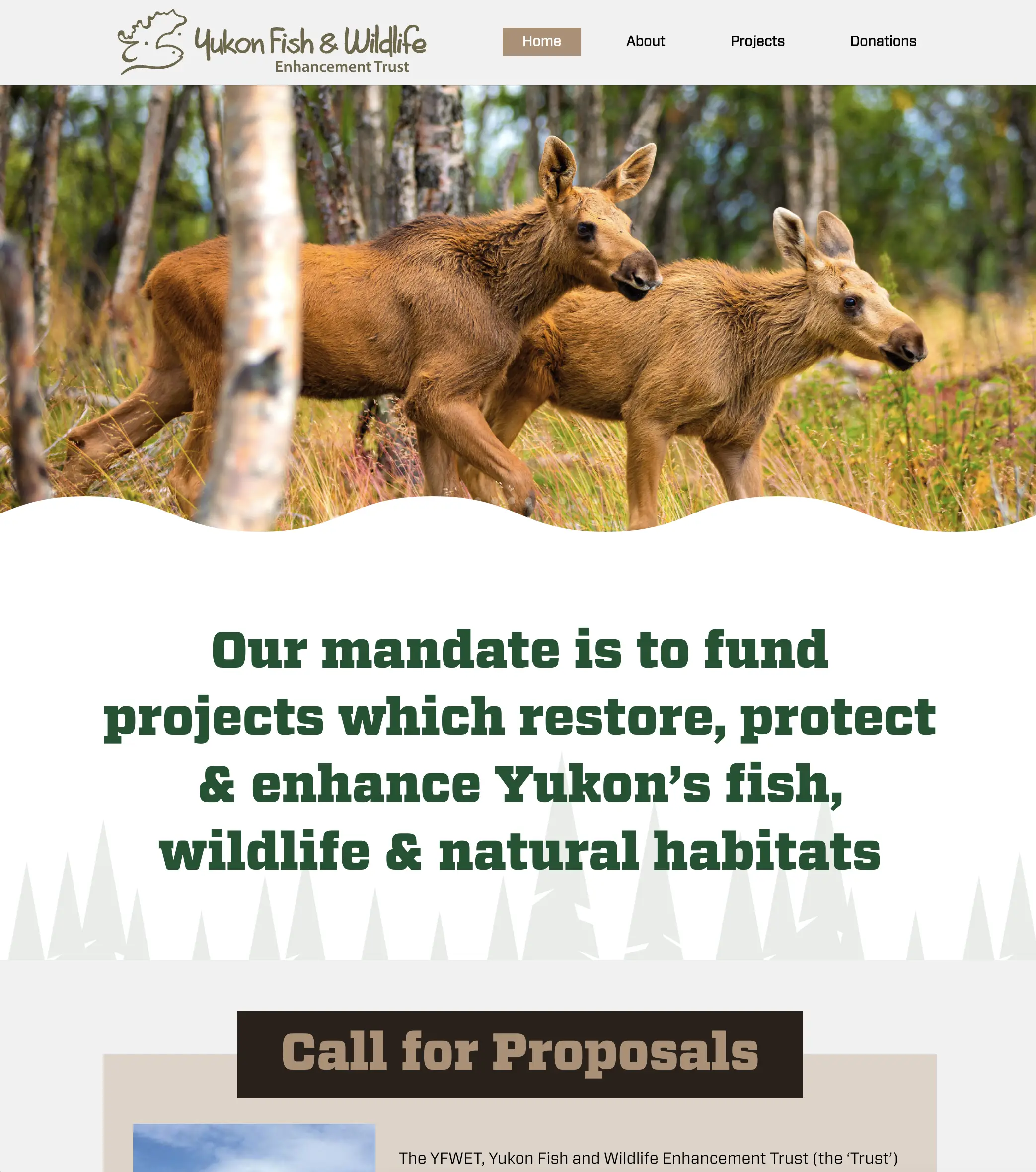 Yukon Fish and wildlife enhancement trust web site designed by pr services example