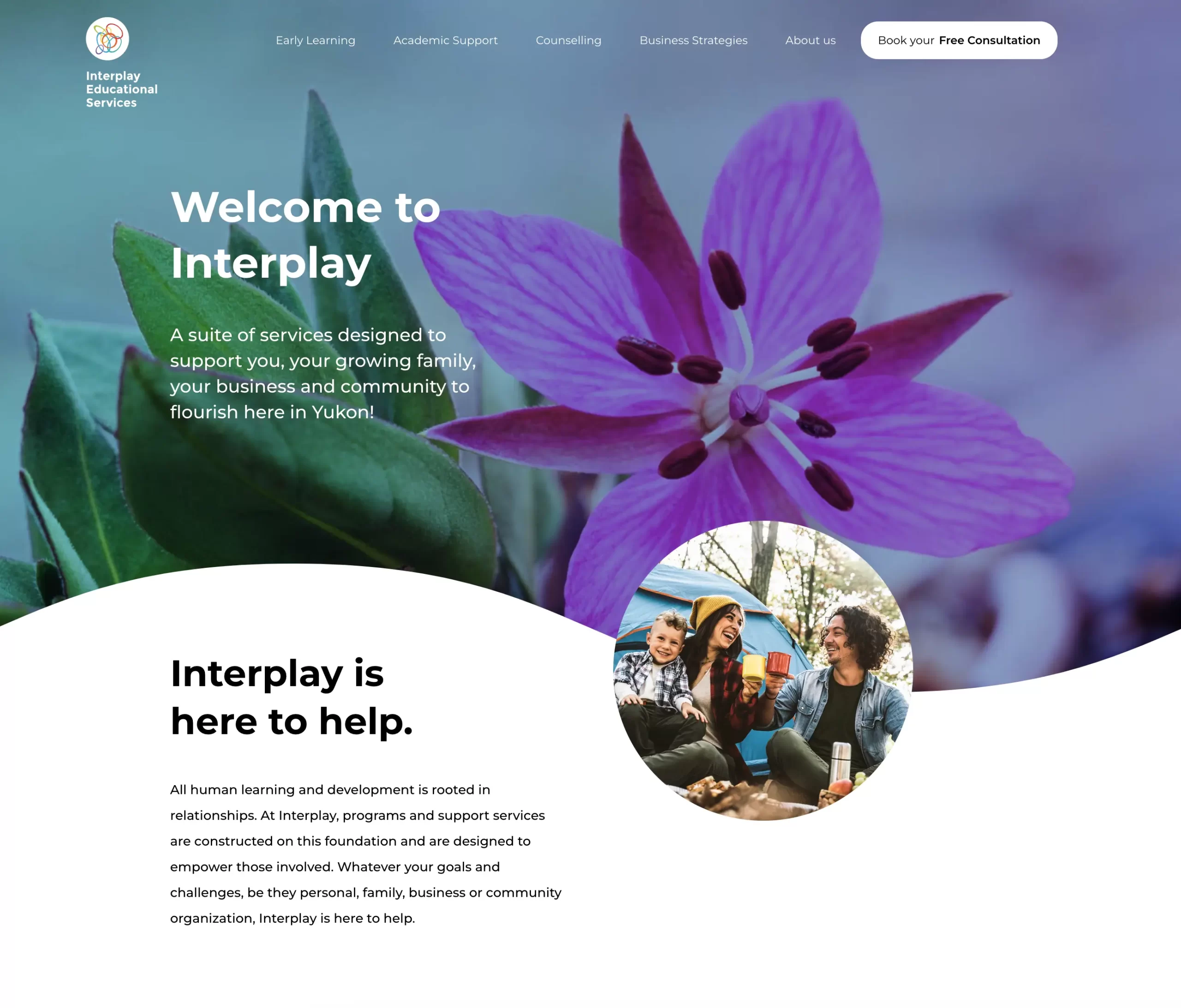 interplay services homepage web site design